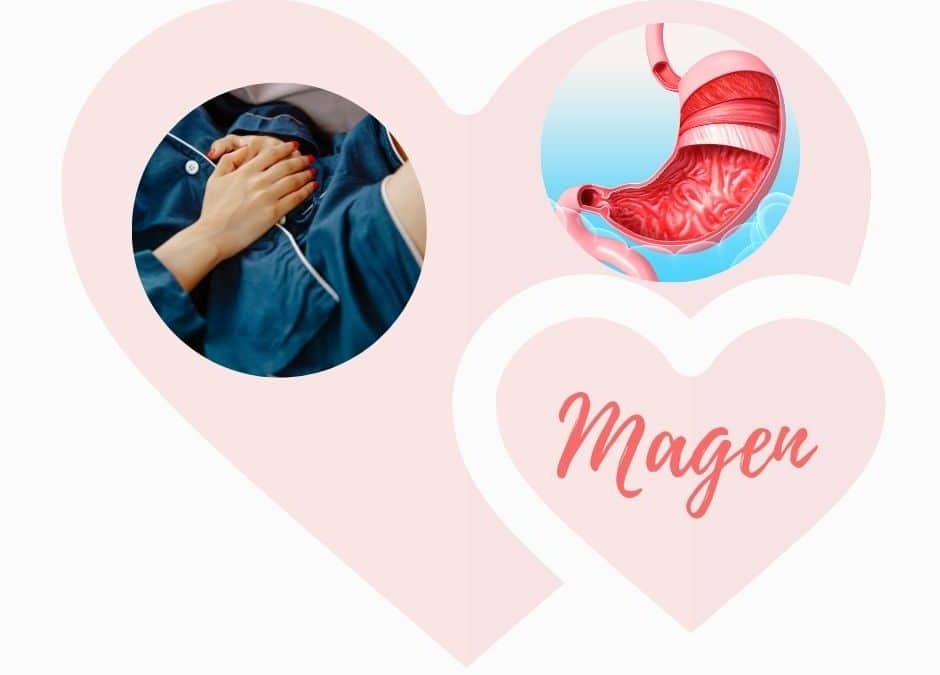 Magen